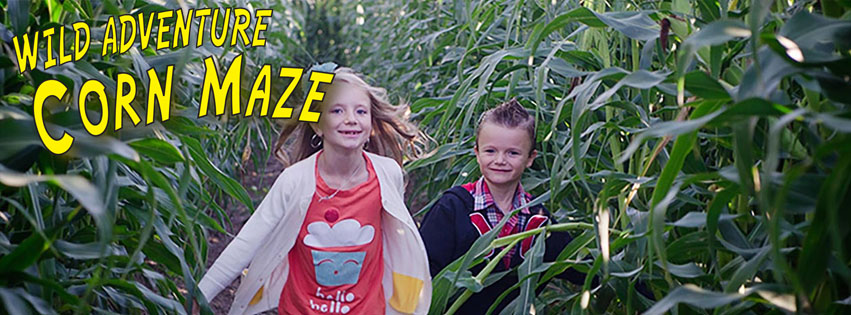 Wild Adventure Corn Maze